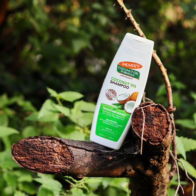 Palmers_Forest_Coconut_Shampoo